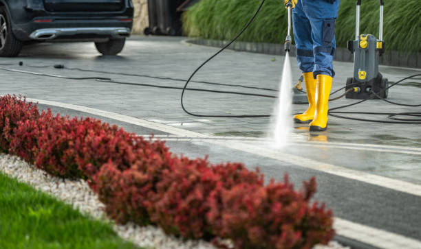 Best Deck and Patio Pressure Washing in Mount Vernon, AL